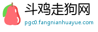 斗鸡走狗网